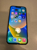 256 GB iPhone 13 Pro Max Unlocked