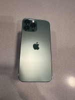 256 GB iPhone 13 Pro Max Unlocked