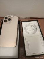 iPhone 13 Pro (1 TB Gold)
