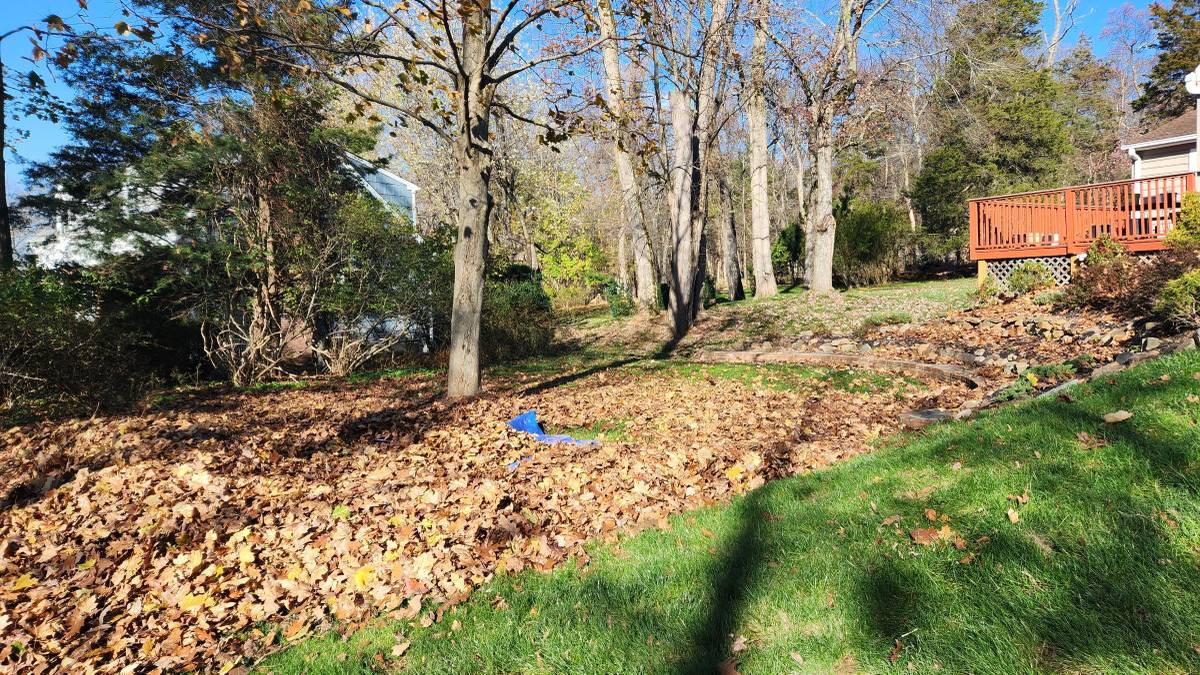 Snow removal. Snow Removal, Power washing, Gutter cleaning. Landscaping. ☘️