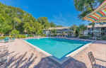 Outdoor swimming pool area at Enclave at Pine Oaks Apartments with lounge chairs and shaded gazebo.