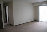 Newly renovated apartment living room with natural light and plush carpet in Monroe, MI