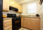 Cozy Affordable One Bedroom, SPECIAL OFFER, Ask for Auniece!