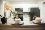 Purrrrrrrfect! Cats and dogs welcome. Come check us out.