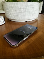 iPhone 14 Pro Max 512 GB Silver