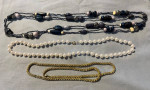 10 Assorted Necklaces