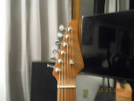 Soloking MS-1 custom