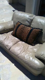 Loveseat Sofa