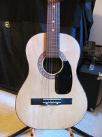 Parlor guitar