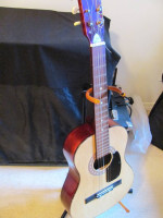 Parlor guitar
