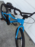 TREK PreCaliber  20in Blue, Age 6-11