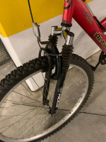 Mountain bike dual shock