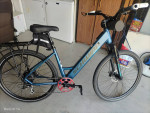 Last Chance: Custom build Ebike Schwinn Wanderlust Ebike,