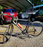 Schwinn Phocus 1600