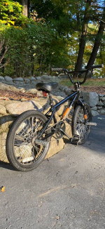 20” HARO F2 BMX Bike Bicycle Mint Like New Condition
