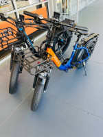 His and Hers Electic Bike