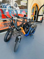 His and Hers Electic Bike