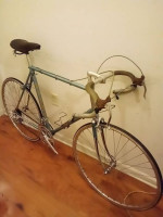Raleigh professional