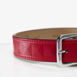 LOUXOR PET COLLAR L