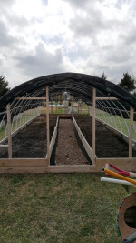 Green house for sale..