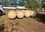 Propane tanks for sale