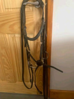 For Sale Due to Horse retirement