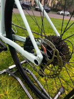 2024 Specialized  Diverge Elite E5 (Size:54cm)