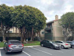 Cozy One Bed One Bath Condo