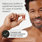 Pure Power: Urolithin A for Energy & Longevity