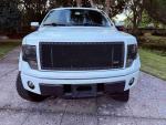 Front view of a 2013 Ford F-150 FX4 with a modified grille and off-road tires in a scenic setting.