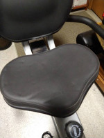 Schwinn 203 Recumbent Exercise Bicycle