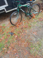 bicycles mongoose and kent and scooter