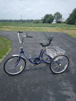 Blue  24" Adult Trike 3  Wheeler
