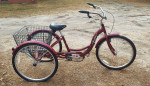 Schwinn 3 Wheel Bike