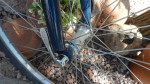 RALEIGH M50 Mtn. Bike