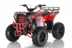 NEW APOLLO 125CC LARGE SIZE KIDS UTILITY ATV-BRAND NEW! BEST WARRANTEE