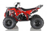 NEW APOLLO 125CC LARGE SIZE KIDS UTILITY ATV-BRAND NEW! BEST WARRANTEE