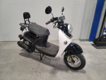 2023 Black Bintelli Escape 49cc Scooter : Demo Model