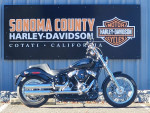 2020 Harley-Davidson Softail® Standard Cruiser