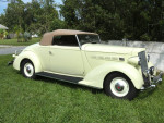 1936 Packard 120B convertible coupe in great condition, garage kept with recent mechanical updates.