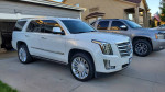 2017 Cadillac Escalade Platinum in Diamond White parked in residential driveway, showcasing luxury SUV features.
