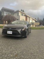 Front view of a 2020 Toyota Corolla Hybrid parked in a residential area, ideal for driving schools.