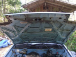 Nissan Pulsar NX engine bay with hood open, showcasing recent mechanical updates and good condition