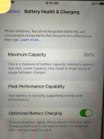 iPhone 8 Plus 64GB 100% battery health