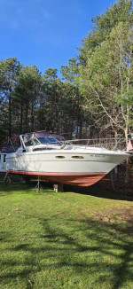 30' SeaRay Cabin Cruiser