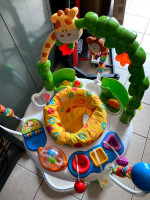 Fisher Price Go Wild! Jumperoo® DTL57