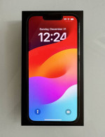 iPhone 13 Pro 256 GB Unlocked with AppleCare+